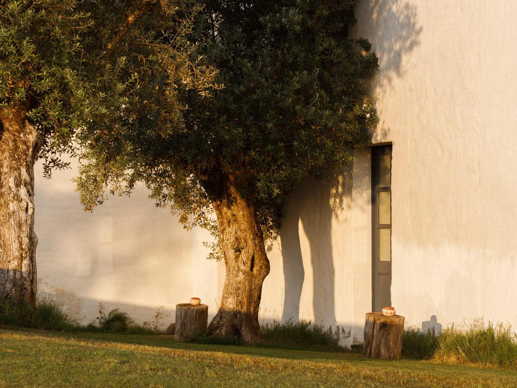 Sao Lourenco Do Barrocal Monsaraz Room photo